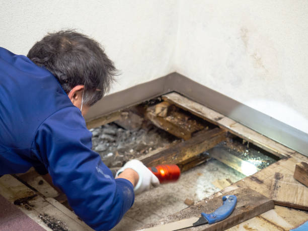 Best Bathroom Mold Remediation in Grenelefe, FL