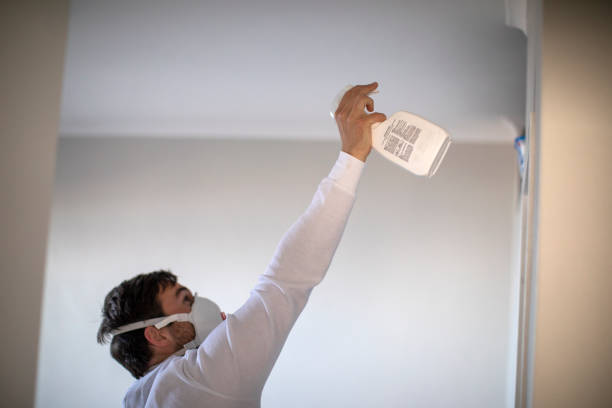 Best Bathroom Mold Remediation in Grenelefe, FL